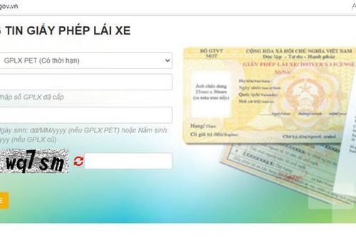 Xuất hiện hàng loạt website giả mạo tra cứu thông tin Giấy phép lái xe