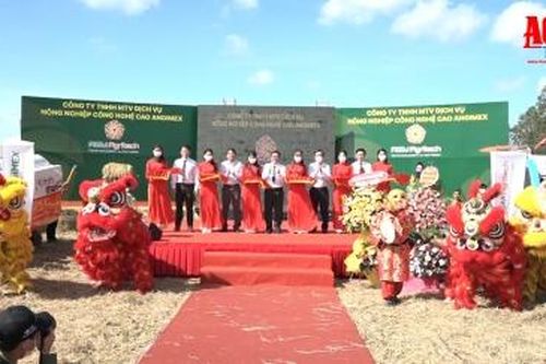 Công ty AGM-Agritech đồng hành nông dân nâng cao giá trị cây lúa