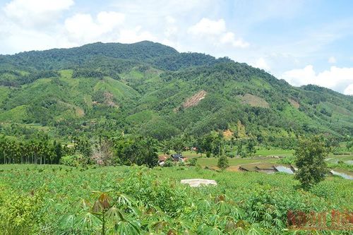 Nhiều sai phạm trong việc hỗ trợ hộ thoát nghèo vùng miền núi Quảng Ngãi