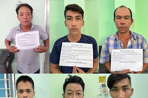 Băng nhóm dùng xe cẩu cướp cây mai vàng trị giá 150 triệu