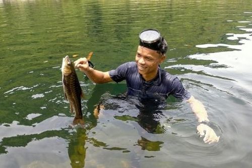 Bảo tồn cá 'hảo hán' ở Trường Sơn