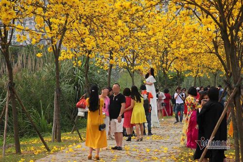 Đừng vì tấm ảnh đẹp đăng Facebook mà 'ngủ quên' trước đại dịch