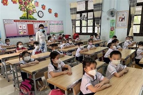 Thành phố Hồ Chí Minh công bố kế hoạch tuyển sinh các cấp