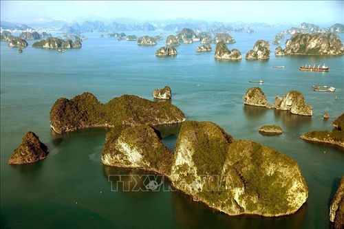 Chiều vàng trên vịnh Hạ Long