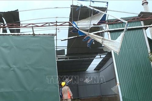 Sơn La: Tăng cường phòng, tránh giông lốc, mưa đá
