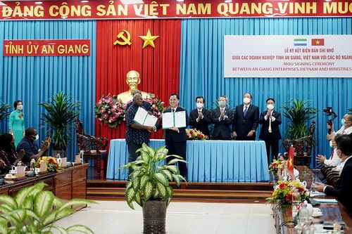 Angimex ký hợp đồng xuất khẩu gạo trị giá tỷ đô với nước Cộng hòa Sierra Leone