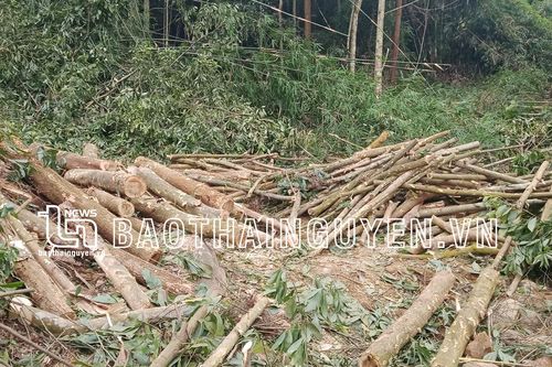 Bất cập quy hoạch, người dân gặp khó