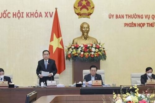 Tạo hành lang pháp lý, chính sách đột phá để phát triển điện ảnh Việt Nam