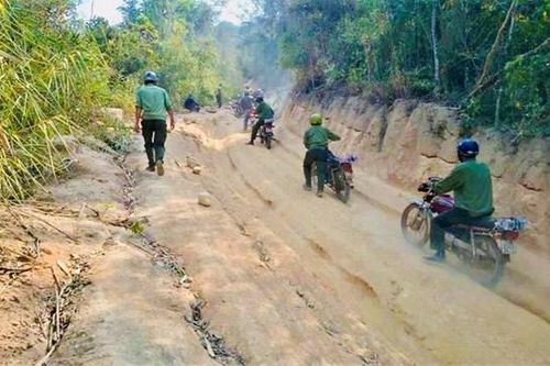 Bắt nhân viên bảo vệ rừng vì nhận 3 triệu của người chở củi