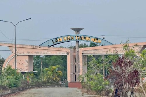 Lâm viên thanh niên hoang tàn, đầy rác thải y tế