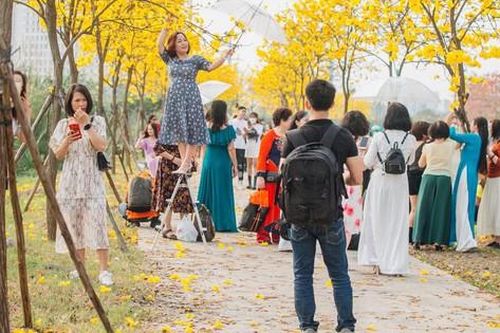 Làm gì để những 'cung đường hoa' Hà Nội an toàn, hút khách?