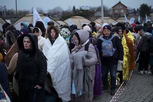 EC mở cổng thông tin trực tuyến hỗ trợ người dân sơ tán khỏi Ukraine