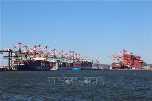 Chuyên gia nhận định chuỗi cung ứng sẽ không trở lại như trước đại dịch