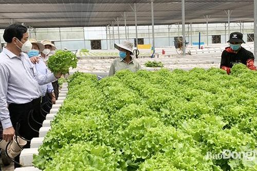 Huyện Long Thành còn chậm trong xây dựng nông thôn mới nâng cao