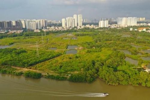 Công an Tp.HCM không khởi tố Quốc Cường Gia Lai bị tố chiếm đoạt hơn 2.800 tỷ đồng