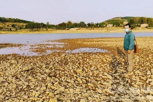 1 công ty đề nghị làm 4 thủy điện vừa và nhỏ tại Kon Tum