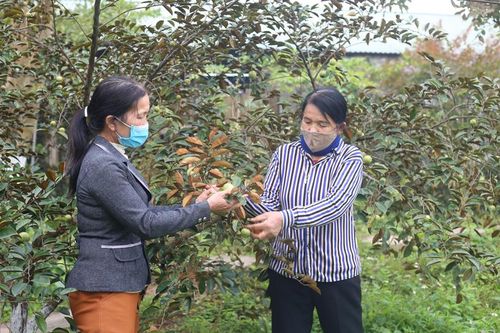 Gỡ 'nút thắt' cho nông nghiệp hữu cơ