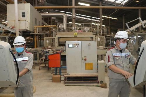 Tiếp nhận, giải quyết kịp thời bảo đảm quyền lợi đối với người lao động bị mắc Covid-19