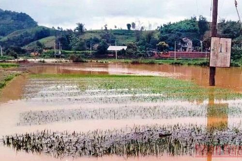 Lào Cai thiệt hại hơn 4 tỷ đồng do mưa lớn