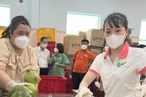 Bến Tre khánh thành Khu phức hợp đa chức năng Hợp tác xã Bưởi da xanh