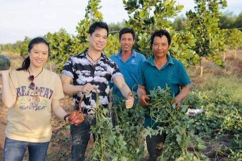'Nông dân' Ngọc Sơn về quê trồng rau, nuôi cá tại mảnh đất rộng 50 héc ta