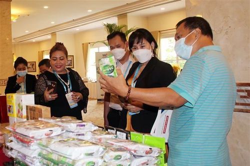 Việt Nam ủng hộ thúc đẩy hợp tác kinh tế trong không gian Pháp ngữ