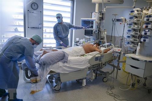 Nghiên cứu mới: Tế bào T có khả năng ghi nhớ lâu với virus SARS-CoV-2