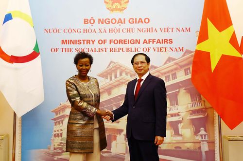 Bộ trưởng Bùi Thanh Sơn hội đàm với Tổng Thư ký Tổ chức Pháp ngữ