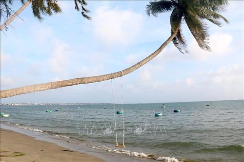Tạo sức bật mới cho du lịch Bình Thuận - Bài cuối: Tăng cường kết nối, quảng bá