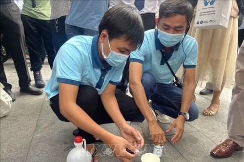 Bình Dương: Thả 30 triệu muỗi mang Wolbachia phòng sốt xuất huyết