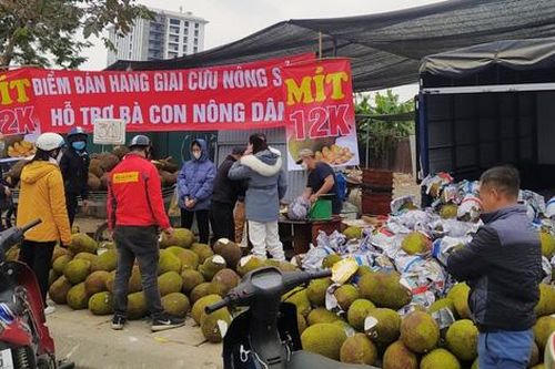 Cần giải quyết hiệu quả tình trạng ách tắc, ùn ứ hàng hóa nông sản tại các cửa khẩu