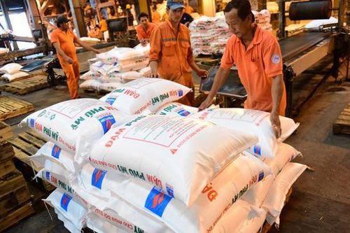 Giá ure có thể đạt đỉnh trong tháng 3 và giảm mạnh từ tháng 6 trở đi