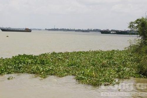 Vụ mỏ cát giá khởi điểm 7,2 tỷ, trúng đấu giá 2.800 tỷ: Hủy kết quả đấu giá
