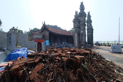Sở Văn hóa Thể thao Hà Nội kiểm tra 'nóng' việc tu sửa đình Chèm