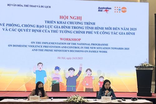Việt Nam quyết tâm ngăn chặn bạo lực gia đình