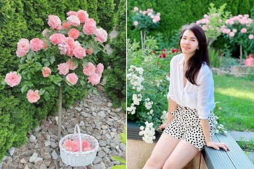 Khu vườn 300m2 ngập sắc hoa của vợ chồng thạc sĩ Việt ở Đức
