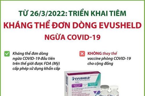 Triển khai tiêm Evusheld ngừa COVID-19 từ ngày 26/3