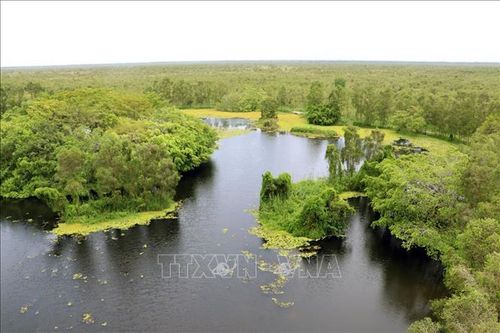 Vườn Quốc gia U Minh Thượng - điểm du lịch sinh thái thân thiện