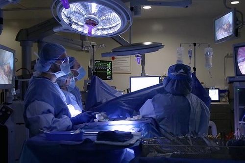 Giới khoa học đánh giá mức độ an toàn của nội tạng người từng mắc COVID-19