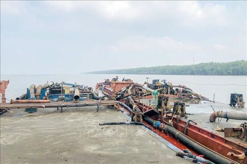 Đồng Nai: Phát hiện, bắt giữ 3 phương tiện vận chuyển cát không rõ nguồn gốc xuất xứ