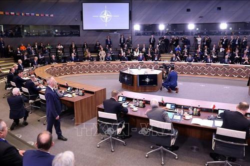 Giải pháp của NATO