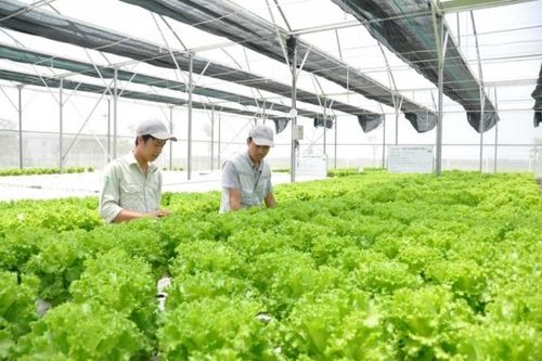 Rộng mở cơ hội giao thương, thúc đẩy chuyển đổi số trong sản xuất