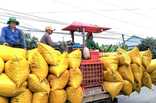 Tiếp tục vận động nông dân đi vào con đường hợp tác