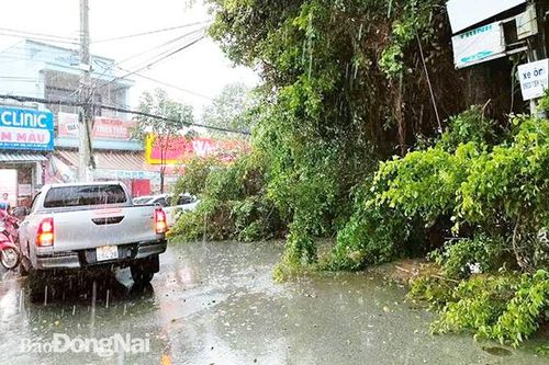 Mưa trái mùa sẽ xuất hiện nhiều hơn