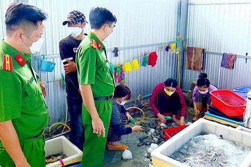 Xây cổng rào có camera để lập xưởng bơm tạp chất vào tôm