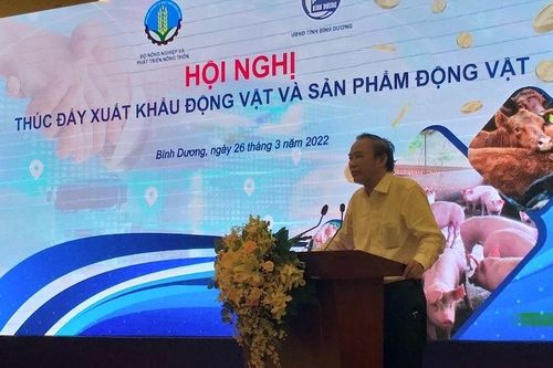 Thúc đẩy xuất khẩu động vật và sản phẩm động vật