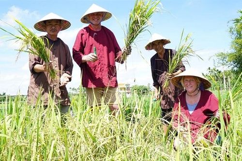 Quảng Nam chú trọng phát triển du lịch xanh theo hướng bền vững