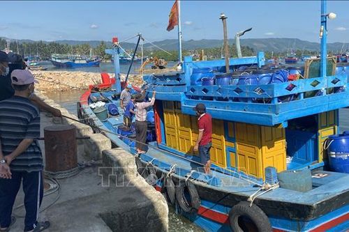 Ngư dân vươn khơi bám biển trong tình hình giá dầu vẫn ở mức cao