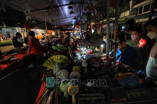 Tiết kiệm hơn 300.000 kWh trong 1 giờ tắt đèn Giờ Trái đất