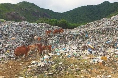 Lượng rác thải nhựa tại Côn Đảo lên đến hơn 221 tấn/năm